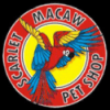 Scarlet Macaw Petshop